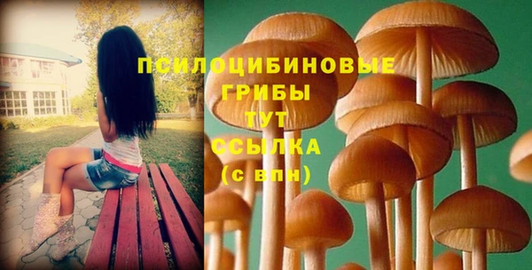 прущая мука Каменногорск